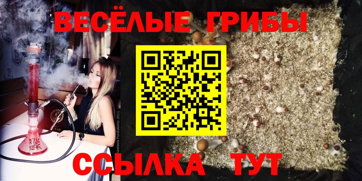 Псилоцибиновые грибы мицелий Вязьма