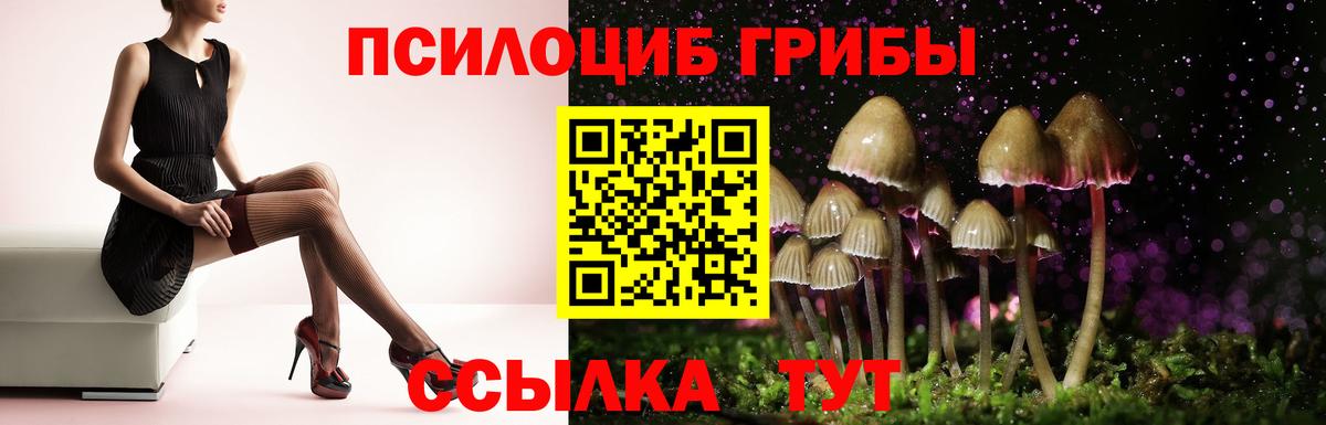 Галлюциногенные грибы Cubensis  Вход с VPN  Вязьма 